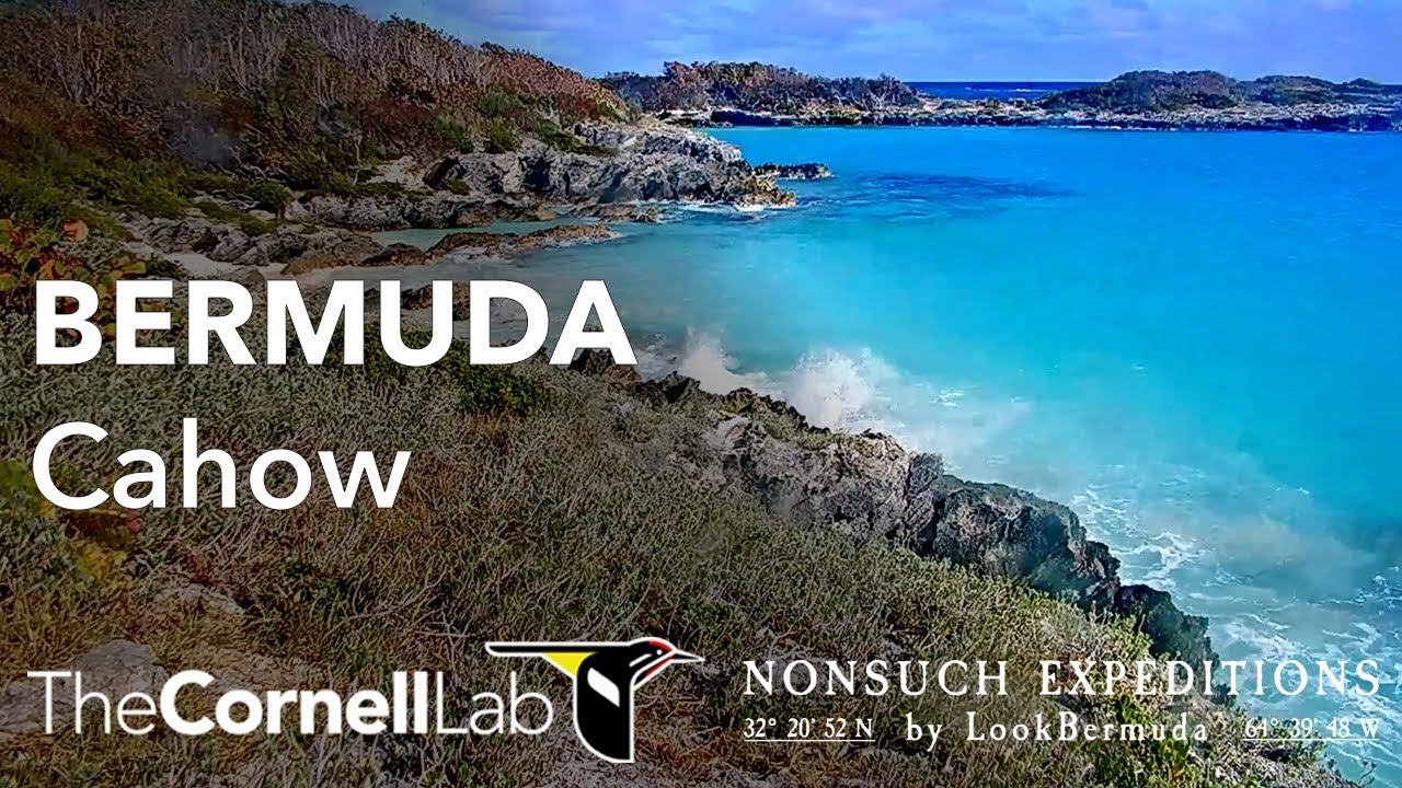 Nonsuch Island, Bermuda
