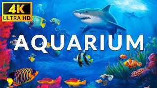 Aquarium - Rare & Colorful Sea Life